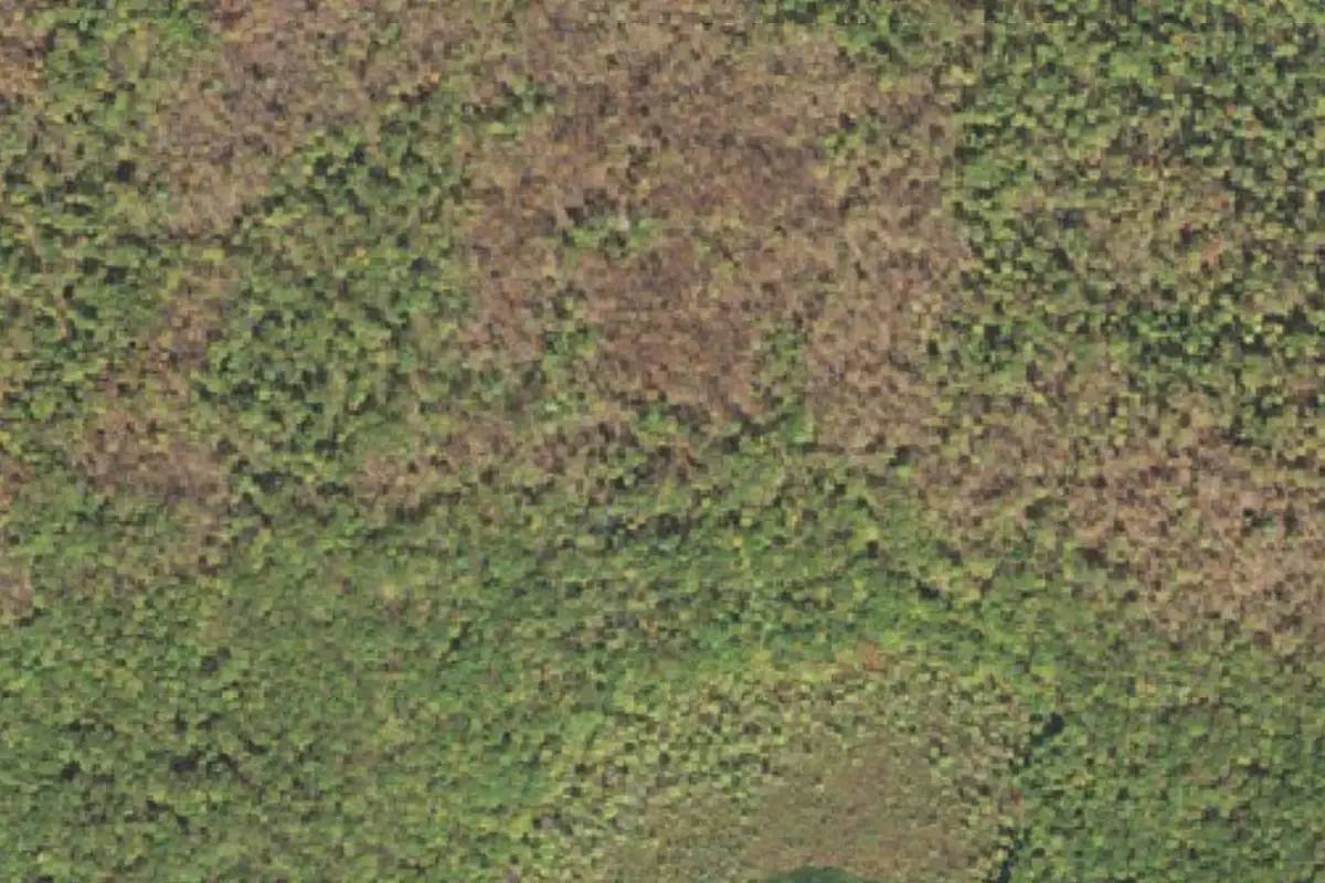 Foto aérea de la zona de White Deer Lake Bouldering