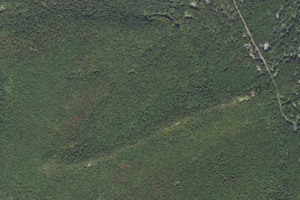 Aerial photo of the White Rock Acres area