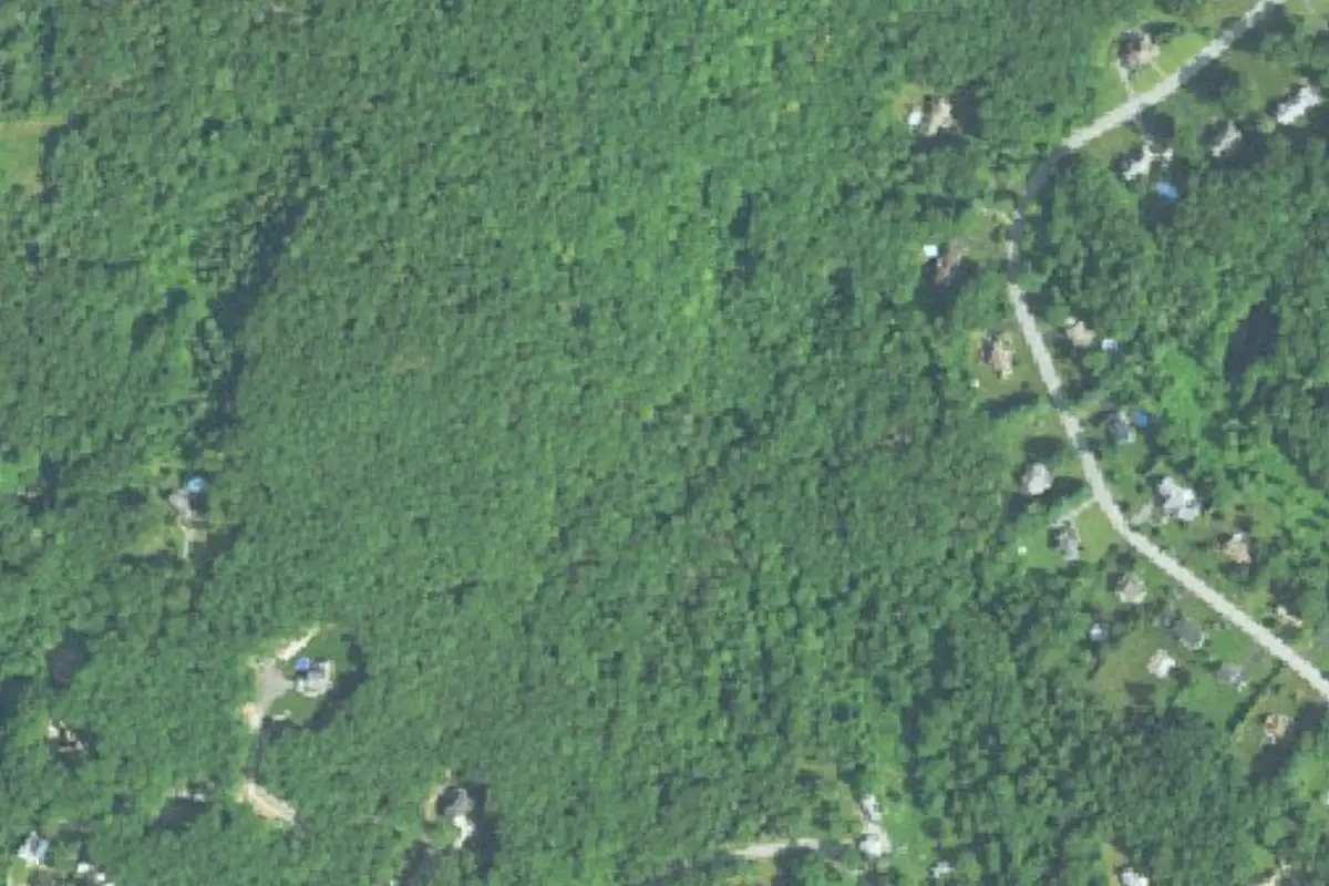 Aerial photo of the Crocodile Rock area