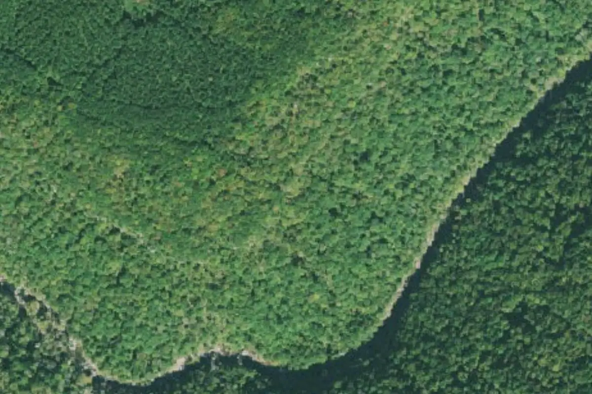 Aerial photo of the Departure 29 area