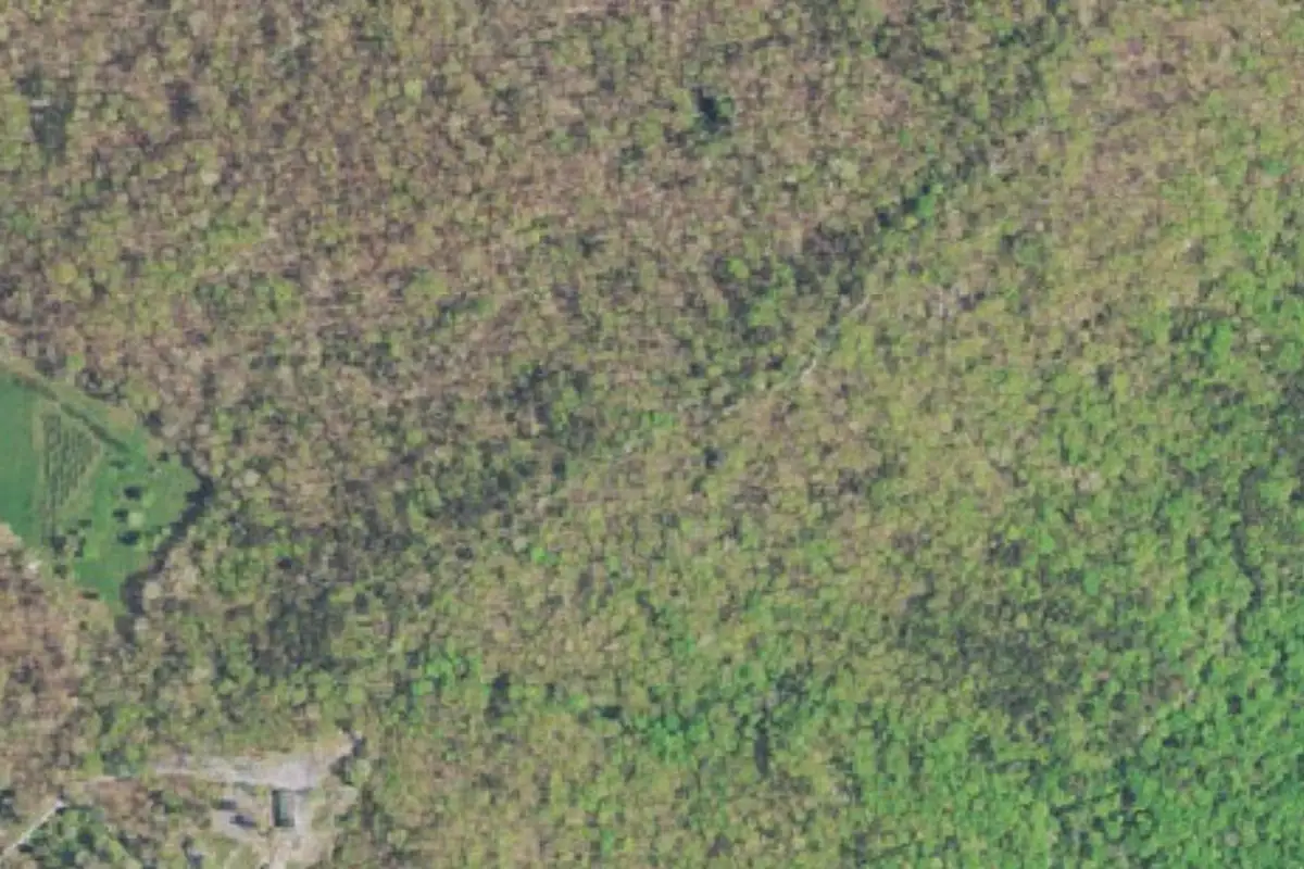 Aerial photo of the East Cliff area