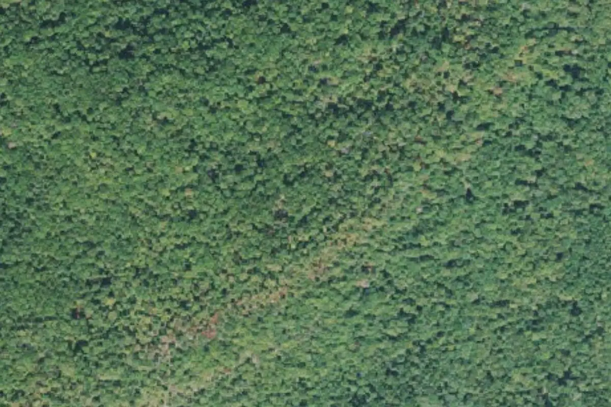 Foto aérea de la zona de Promised Land