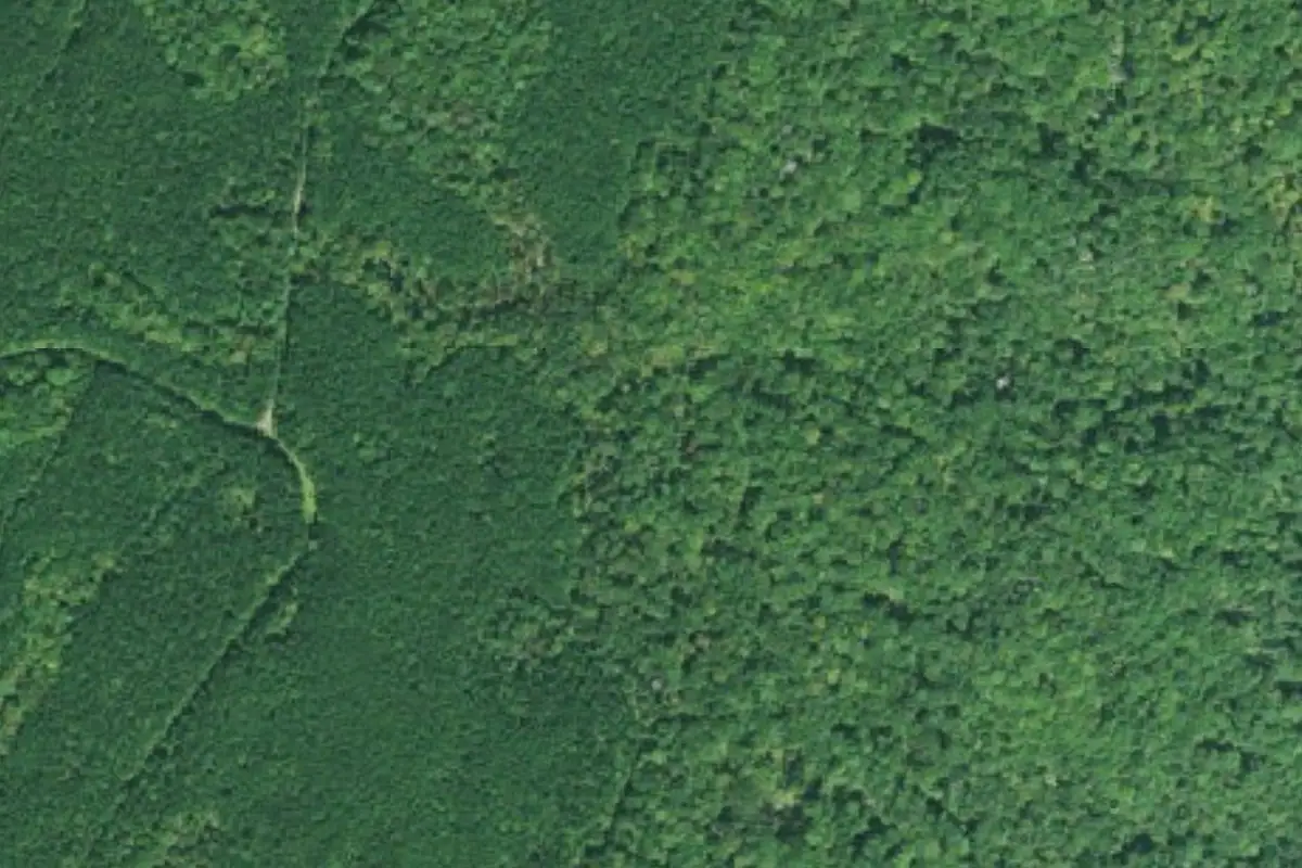 Aerial photo of the Texas Toast area