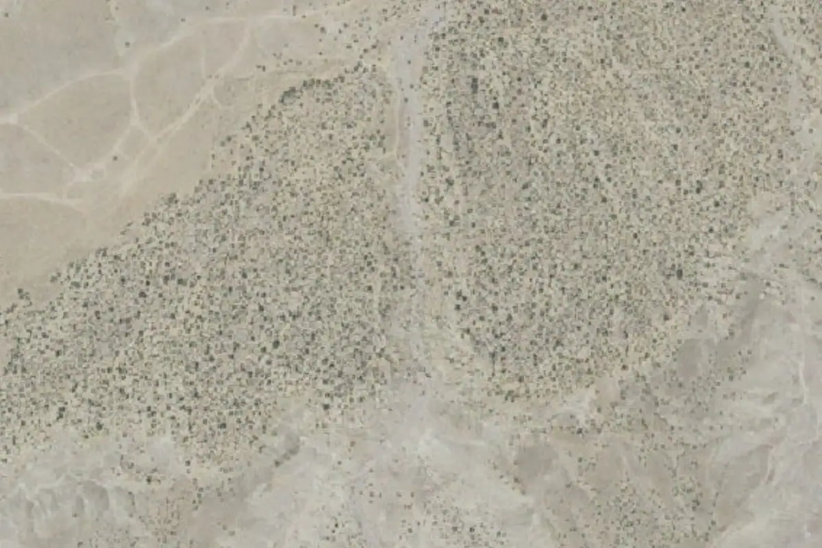 Aerial photo of the The Land That Time Forgot area