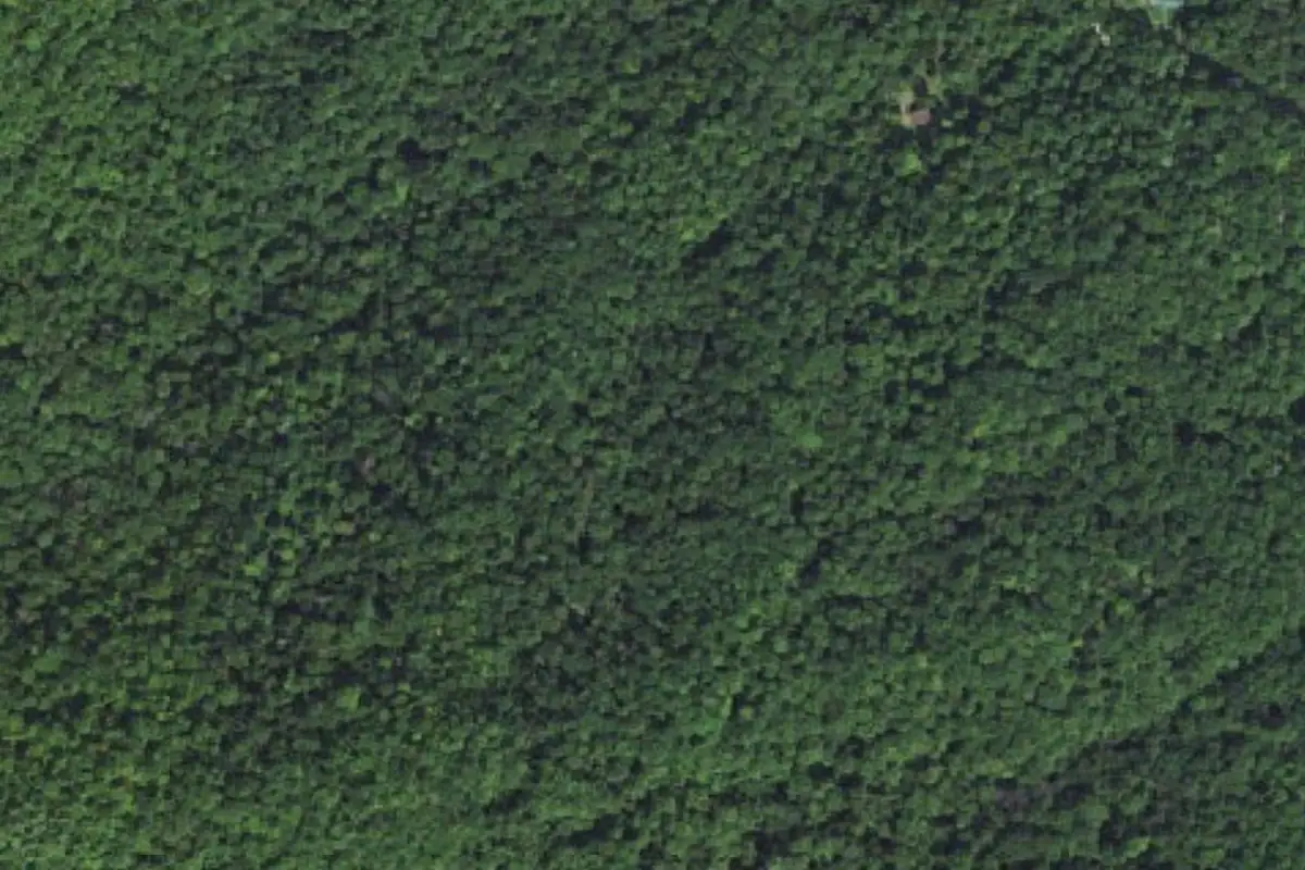 Aerial photo of the Dripping Rock Main Crag area