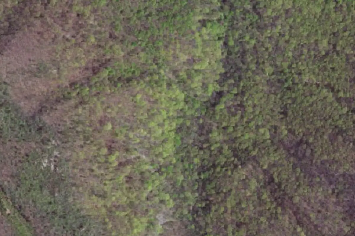 Aerial photo of the Slippery Slope area
