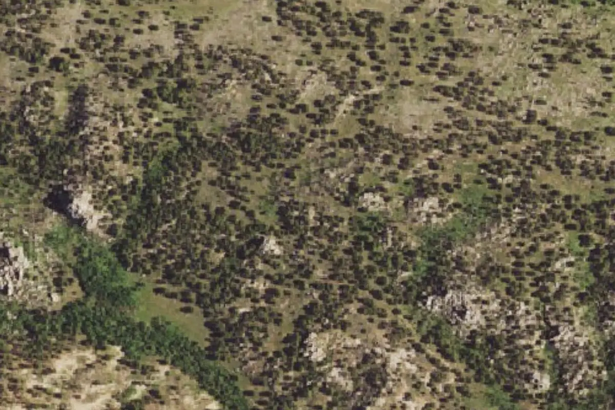 Foto aérea de la zona de Gorilla Rock
