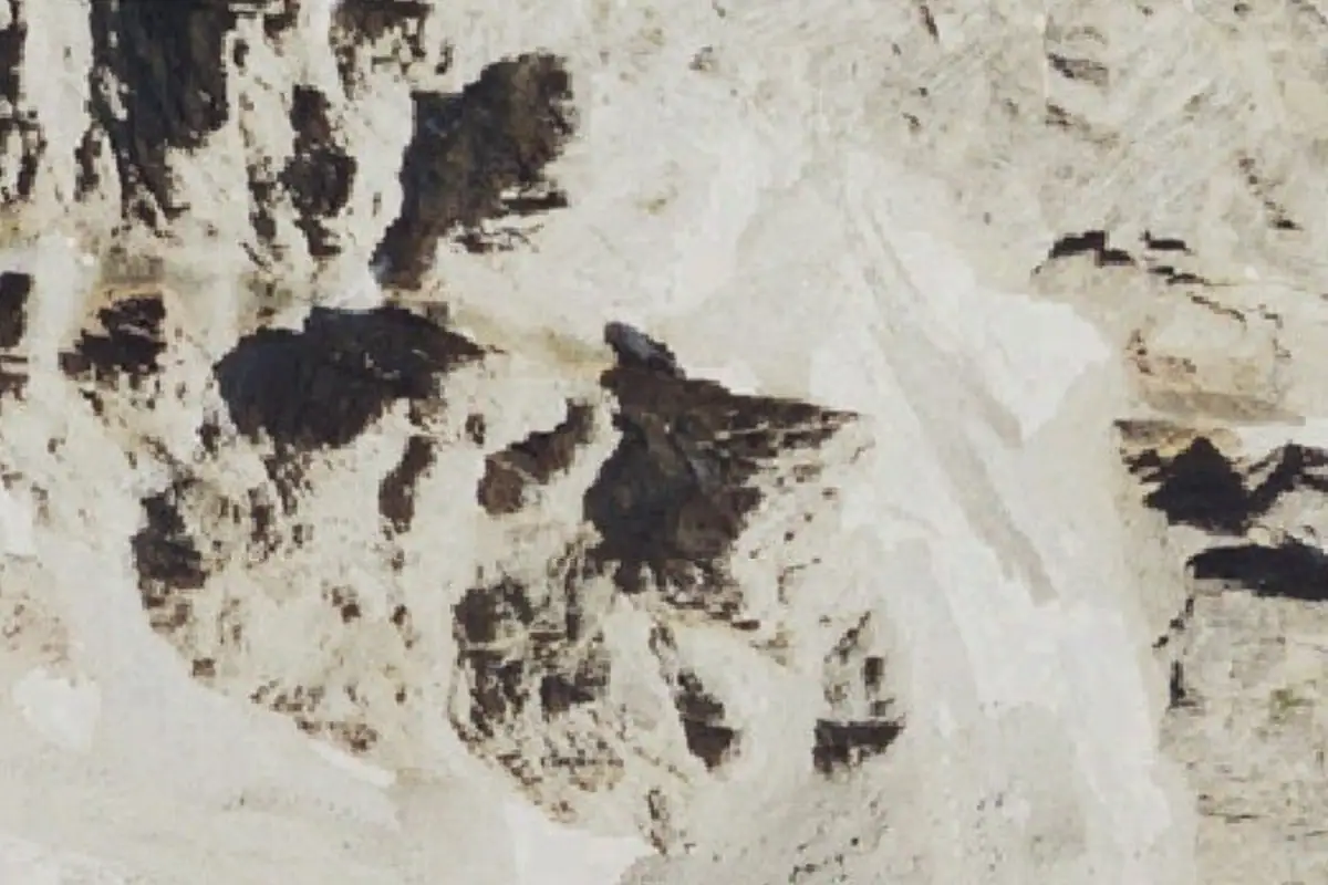 Aerial photo of the Teepe Pillar area