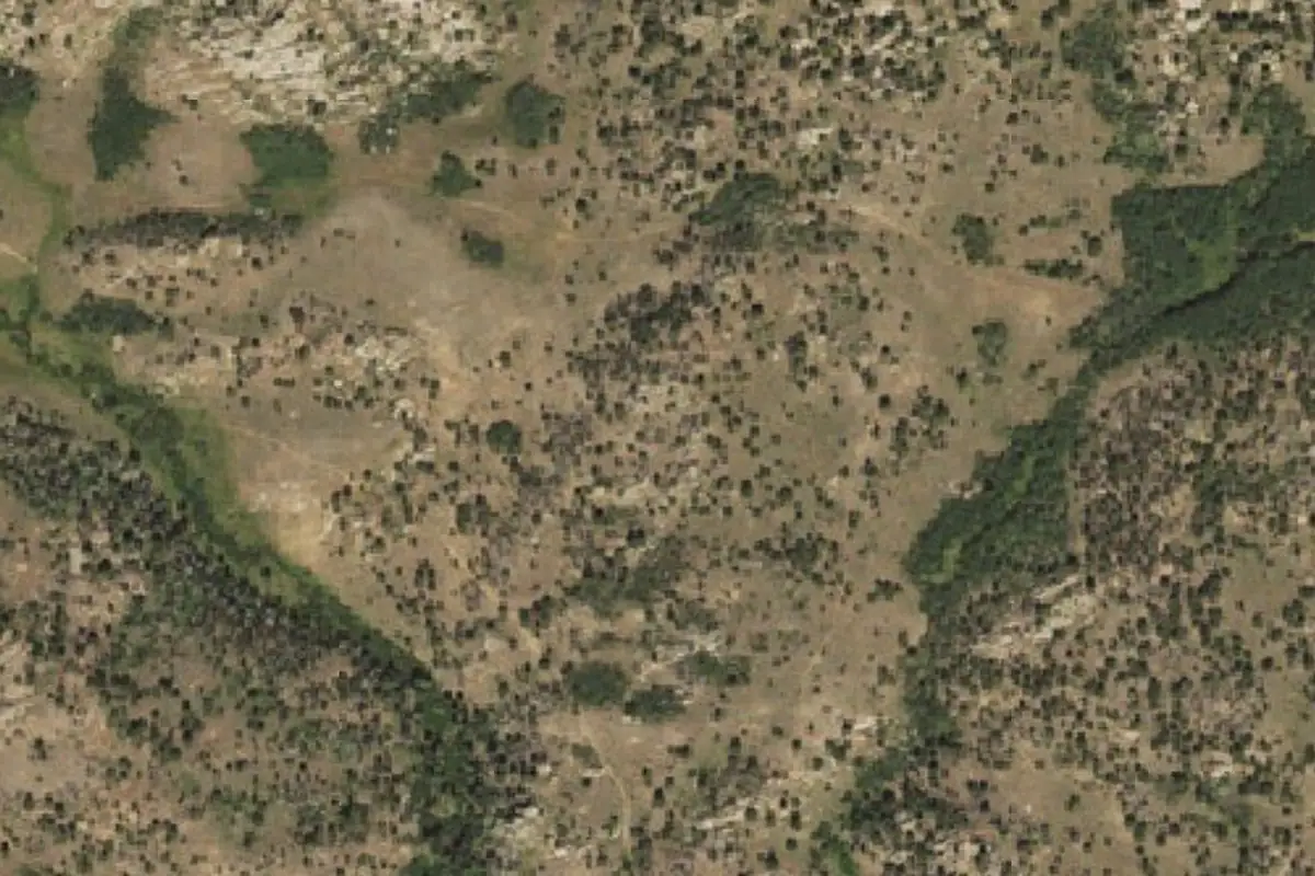 Aerial photo of the Walt's Rib area